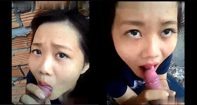 Eny liếm cây hàng ở vườn sau nhà